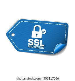 SSL Protected Blue Vector Icon Design