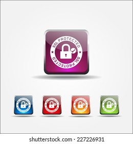 SSL Protected Colorful Vector Icon Design