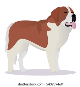 St Bernard dog