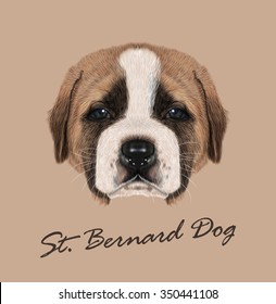 St Bernard Dog animal cute face. Vector funny Swiss alpine Saint Bernard brown and white puppy head portrait. Realistic fur portrait of purebred young  St. Bernard doggie isolated on beige background.