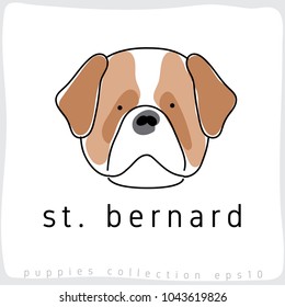 St. bernard : Dog Breed Collection : Vector Illustration