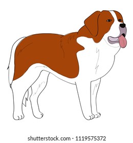 St Bernard dog hand drawing