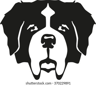 St. Bernard Dog Head