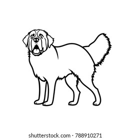 St. Bernard dog - isolated outlined vector illustration