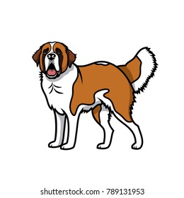 St. Bernard dog - isolated vector illustration