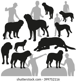 St. Bernard Dog. Set of Silhouettes