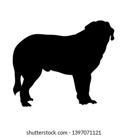 St. Bernard Hund Silhouette. Glatte Vektorgrafik.