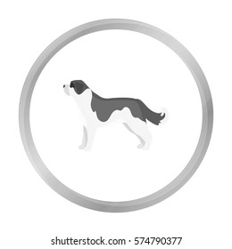St. Bernard dog vector icon in monochrome style for web