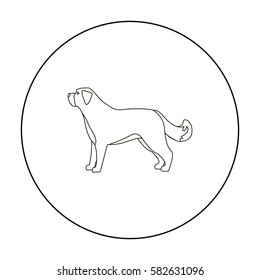 St. Bernard dog vector icon in outline style for web