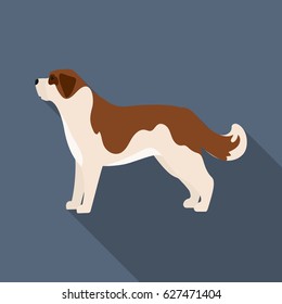 St. Bernard dog vector icon in flat style for web
