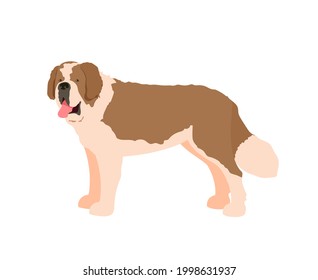 St. Bernard dog. Vector illustration