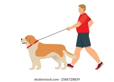 St. Bernard, dog walking, simple illustration of a fat Caucasian man walking Flat design.