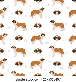 St Bernard longhaired coat colors, different poses seamless pattern.  Vector illustration