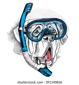 St. Bernard portrait in a blue diving mask and with tube. Vector illustration.