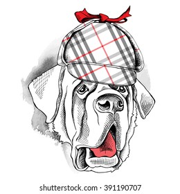 St. Bernard portrait in a Deerstalker hat. Vector illustration.