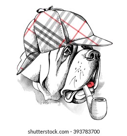 St. Bernard portrait in a Deerstalker with smoking pipe. Vector illustration.