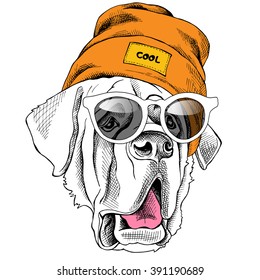 St. Bernard portrait in a Hipster hat and with sunglasses. Vector illustration.