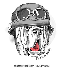 St. Bernard portrait in a retro Biker helmet. Vector illustration.