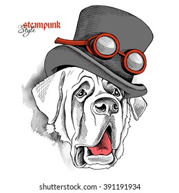 St. Bernard portrait in a Steampunk top hat with glasses. Vector illustration.