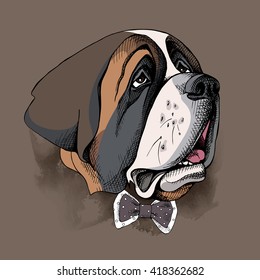 St. Bernard portrait in a tie. Vector illustration.