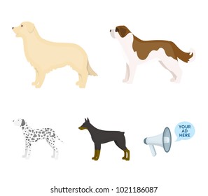 St. Bernard, retriever,doberman, labrador. Dog breeds set collection icons in cartoon style vector symbol stock illustration web.
