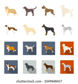 St. Bernard, retriever,doberman, labrador. Dog breeds set collection icons in cartoon,flat style vector symbol stock illustration web.