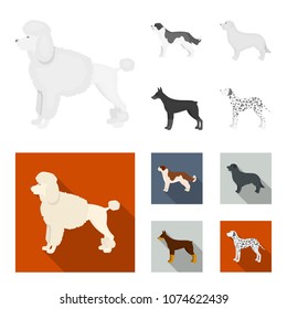 St. Bernard, retriever,doberman, labrador. Dog breeds set collection icons in monochrome,flat style vector symbol stock illustration web.