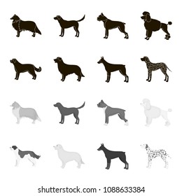 St. Bernard, retriever,doberman, labrador. Dog breeds set collection icons in black,monochrome style vector symbol stock illustration web.