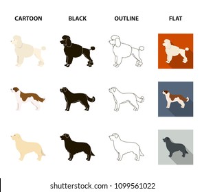 St. Bernard, retriever,doberman, labrador. Dog breeds set collection icons in cartoon,black,outline,flat style vector symbol stock illustration web.