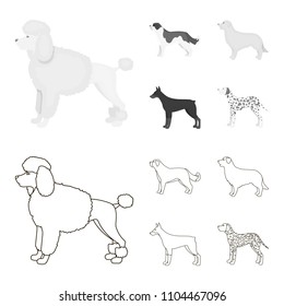 St. Bernard, retriever,doberman, labrador. Dog breeds set collection icons in outline,monochrome style vector symbol stock illustration web.