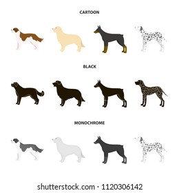 St. Bernard, retriever,doberman, labrador. Dog breeds set collection icons in cartoon,black,monochrome style vector symbol stock illustration web.