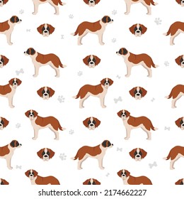 St Bernard shorthaired coat colors, different poses seamless pattern.  Vector illustration