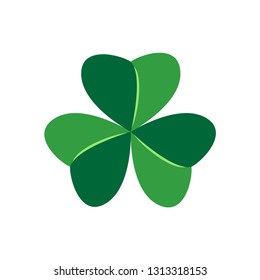 St. Patrick’s Day clover shamrock trefoil leaf. White background. Vector
