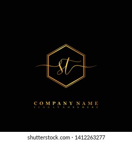 ST Initial luxury handwriting logo vector