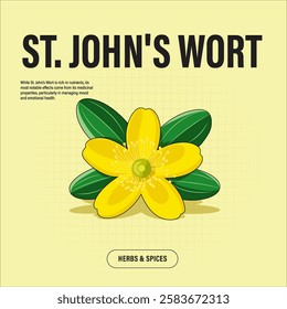 St. John's wort Premium Vector Clipart High-Quality Illustration for Cooking Branding and Packaging