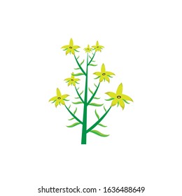 st. john's wort simple illustration clip art vector