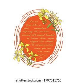 St Johns wort Tree Branch Parts Decorating Handdrawn Round Frame with Substrate. Hand drawn engraved vector sketch etch illustration. Vector Illustrator for Product Labels, Packages etc.