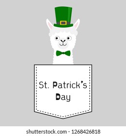 St Patrick Day. Llama alpaca face head in the pocket. Green hat. Cute cartoon animals. Kawaii character. Dash line. White and black color. T-shirt design. Baby gray background. Flat design. Vector