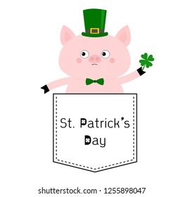 St Patrick Day. Pig face head in the pocket. Patrick day hat, clover. Cute cartoon animals. Piggy piglet character. Dash line. White and black color. T-shirt design. Baby background Flat design Vector