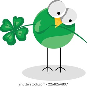 St Patrick s day bird holding a green clover
