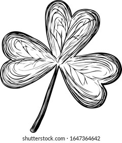 St. Patrick 's Day. three-leaf clover drawn by strokes.