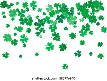 St. Patrick's Day background template with falling clover leaves isolated on a white background. Vector illustration.