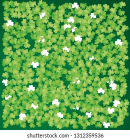 St Patricks Day clover leaves irish green white background