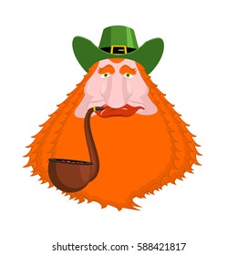 St. Patrick's Day Leprechaun with red beard and pipe. Green hat. Magic Dwarf in Ireland. national holiday March 17 . Traditional Irish Festival