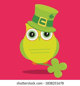 st patricks day owl design vector illustration