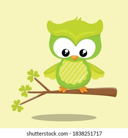 st patricks day owl design vector illustration