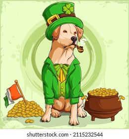 St Patrick's Labrador dog in Leprechaun hat and suit with a pot of golden coins and the Irish flag