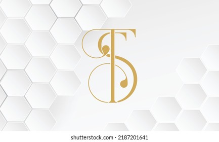 ST, TS Abstract Letters Logo Design.