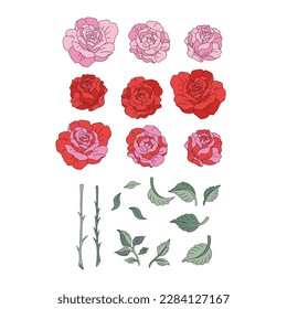 St Valentine Day rose flower creator bud stem leaves vector illustration set isolated on white. Red pink roses floral print for 14 February holiday card making.