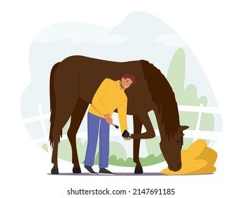 Stableman Male Characters Care of Purebred Horse Cleaning Hooves with Brush Prepare Stallion for Equestrian Sports Competition or Contest. Animal Eat Hay. Cartoon Vector Illustration